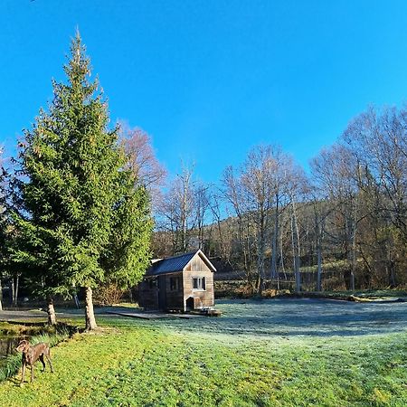 Insolite Tiny House Serenite Bien Etre Ban-sur-Meurthe-Clefcy Экстерьер фото