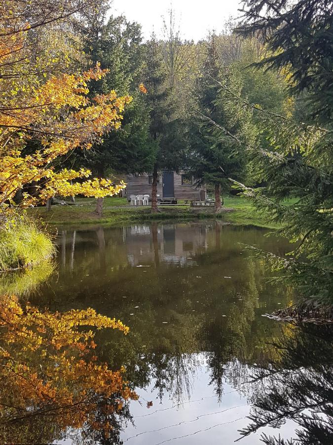 Insolite Tiny House Serenite Bien Etre Ban-sur-Meurthe-Clefcy Экстерьер фото