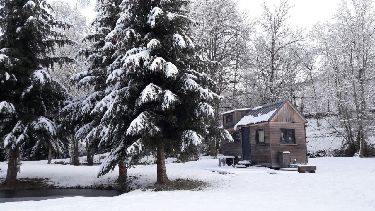 Insolite Tiny House Serenite Bien Etre Ban-sur-Meurthe-Clefcy Экстерьер фото