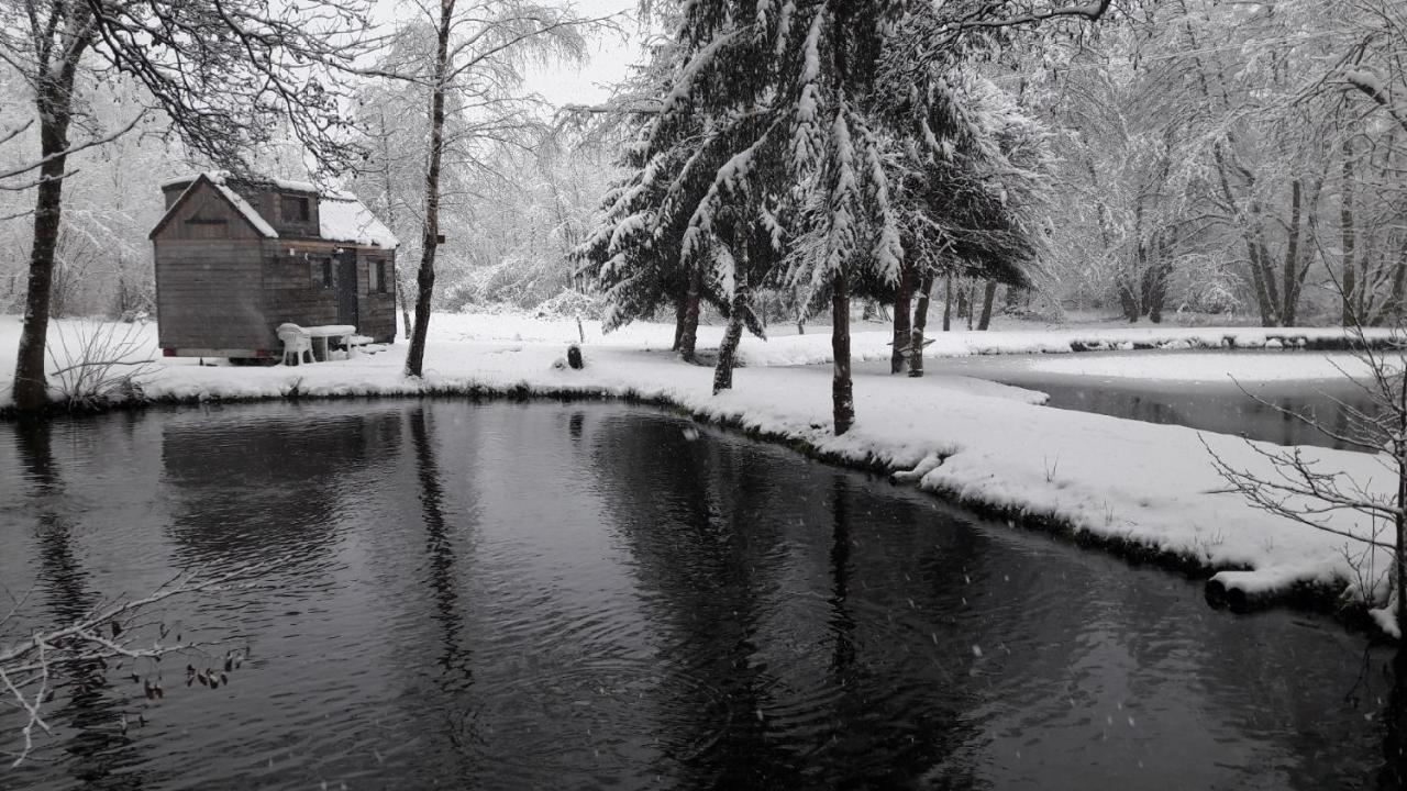 Insolite Tiny House Serenite Bien Etre Ban-sur-Meurthe-Clefcy Экстерьер фото