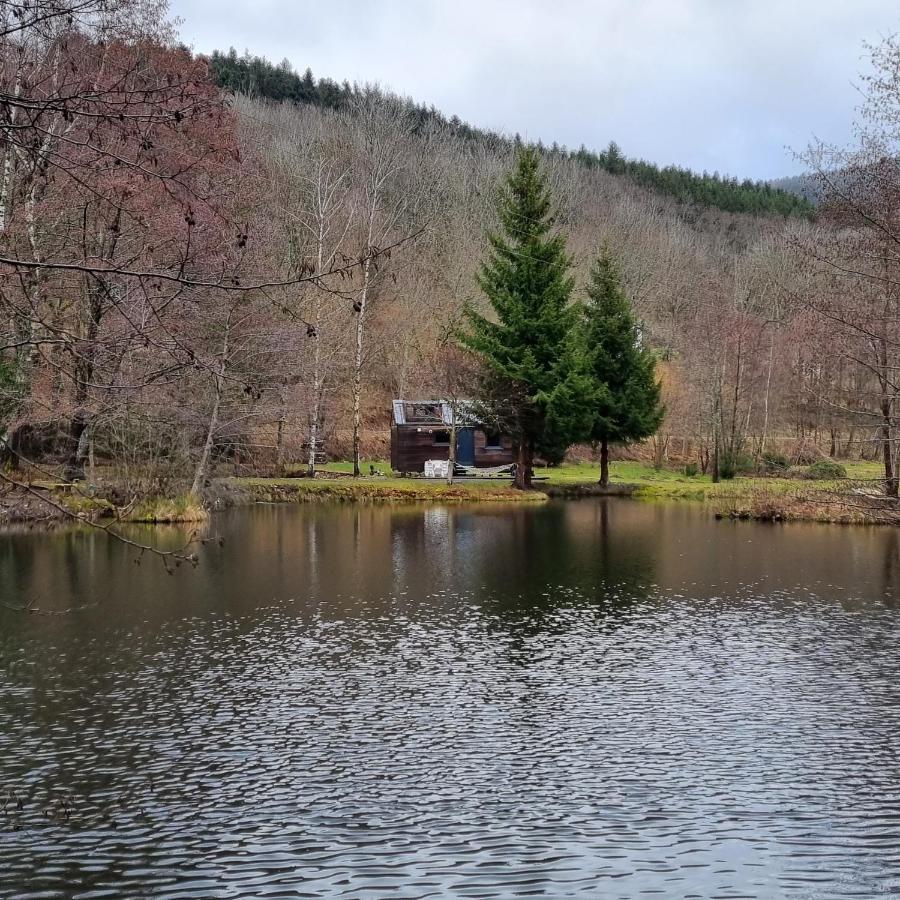 Insolite Tiny House Serenite Bien Etre Ban-sur-Meurthe-Clefcy Экстерьер фото